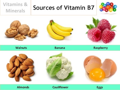 vitamin B7 Biotin
