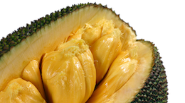 Jackfruit, langka