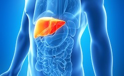 liver avoid